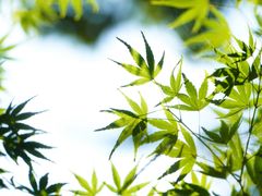 -白鹭湾湿地公园