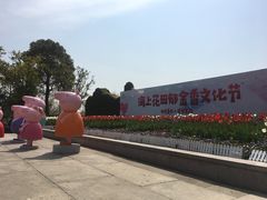 -杭州湾海上花田景区