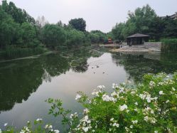 -芙蓉花月子会所(朝阳区店)