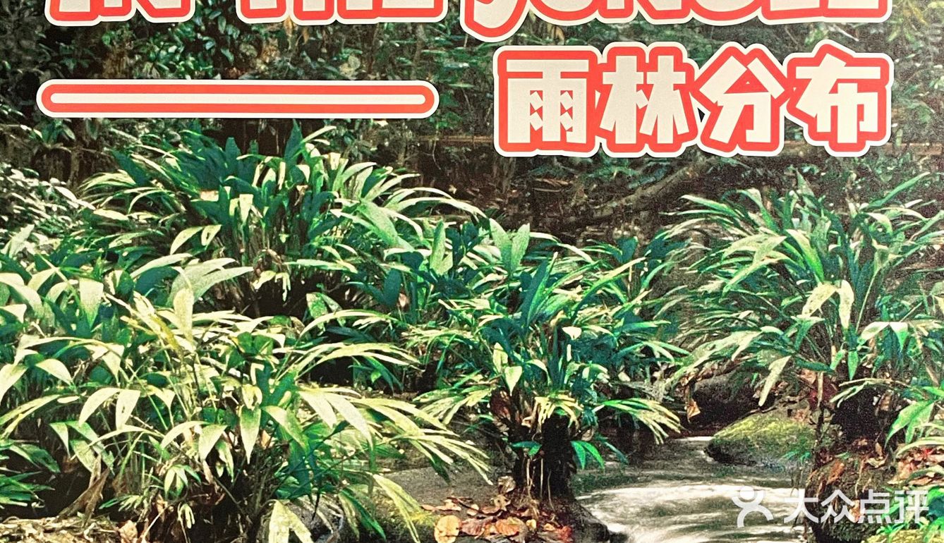 夏日带娃好去处！绿地缤纷城的神奇校车来啦！