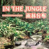 夏日带娃好去处！绿地缤纷城的神奇校车来啦！