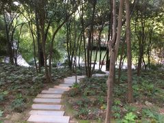 -西安市长乐公园