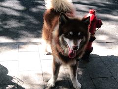 -坤德面馆(景德路店)