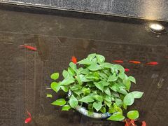 -松鹤楼(月坛店)