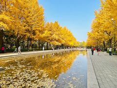 -玲珑塔公园