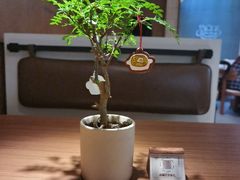 -CURRY YA 熟成咖哩專門店(深圳湾万象城店)