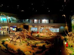 -自贡恐龙博物馆