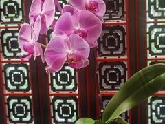 -北京四季酒店·采逸轩