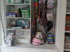 -爱贝特动物医院·猫口炎专科