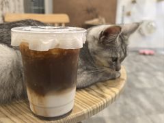 -楼上猫咖(罗湖店)