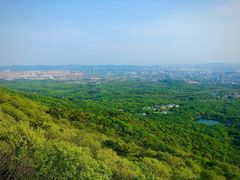 -紫金山山顶公园