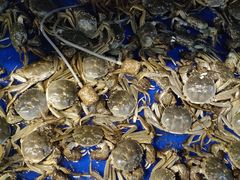 -二钳洞庭虾蟹·江湖菜(成都鹭岛店)