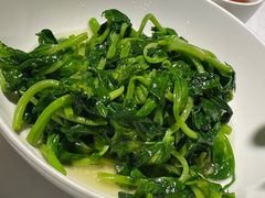 五粮液嫩豆苗-玫瑰厅上海菜(兴国路店)
