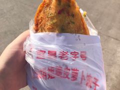 -半月镰胡姐脆皮萝卜饺子