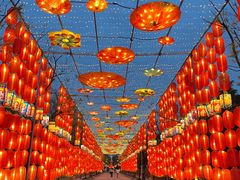 -洛阳市隋唐城遗址植物园