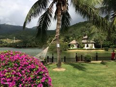 金棕榈酒店-三亚亚龙湾金棕榈度假酒店