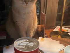 -咖法森林·咖啡  酒吧(天河店)