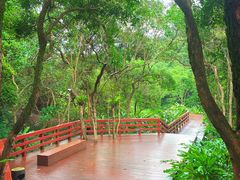-阳台山森林公园