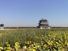 -呼兰河口湿地公园