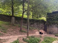 -都江堰中华大熊猫苑