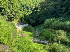-梧桐山风景名胜区