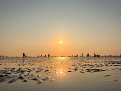 -南汇新城海滩