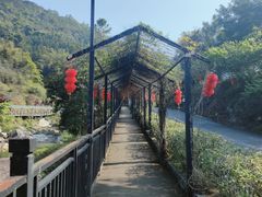 -广东天露山旅游度假区