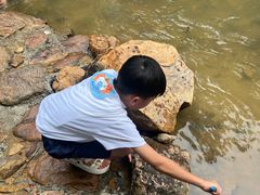 -广州白江湖森林公园