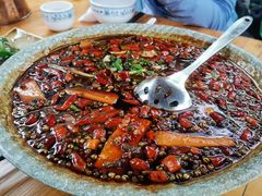 -青城甲(青城山店)