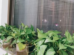 -呷湘厨·鱼汤捞饭·剁椒鱼头·辣椒炒肉(国家会展中心店)