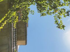 -北京张裕爱斐堡酒庄