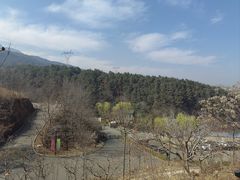 -欢乐松鼠谷