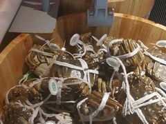 -盒马鲜生(大成店)