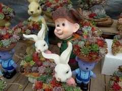 -龙大花卉苗木市场