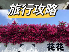 -成都大熊猫繁育研究基地