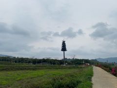 -光明小镇欢乐田园