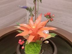 -无锡丽笙精选酒店·兰亭阁中餐厅