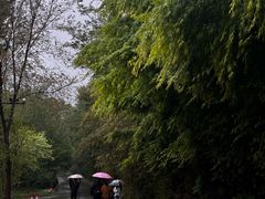 -昆嵛山石门里景区