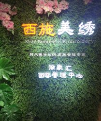 -西施无菌半永久纹绣眉眼影唇轻增发纹发际线