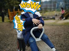 -铁山坪森林公园