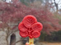 -香山公园