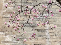 -东华门大街小区