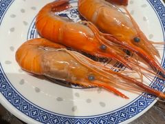 -美罗城