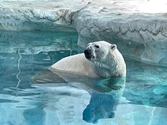 -珠海长隆海洋王国