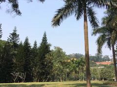 -南宁良凤江国家森林公园