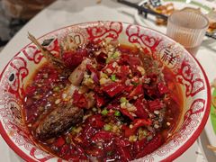 -欧记大排档·景德菜(上海首店)
