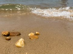 -悦海公园