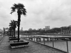 景点-白塘生态植物园