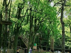 -WeLope紫金山探险公园