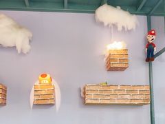 -喵屿·大理花园猫咖